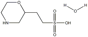 2-morpholineethanesulfonic acid hydrate Struktur