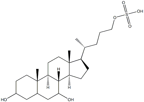 cholane-3,7,24-triol-24-sulfate Struktur