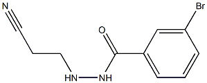 3-bromo-N'-(2-cyanoethyl)benzenecarbohydrazide Struktur