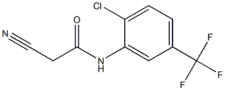 N1-[2-chloro-5-(trifluoromethyl)phenyl]-2-cyanoacetamide Struktur