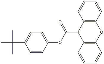 4-(tert-butyl)phenyl 9H-xanthene-9-carboxylate Struktur