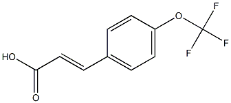 (E)-3-(4-(trifluoromethoxy)phenyl)acrylic acid Struktur