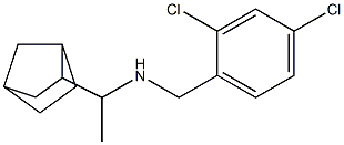 (1-{bicyclo[2.2.1]heptan-2-yl}ethyl)[(2,4-dichlorophenyl)methyl]amine Struktur