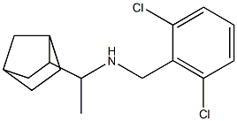 (1-{bicyclo[2.2.1]heptan-2-yl}ethyl)[(2,6-dichlorophenyl)methyl]amine Struktur