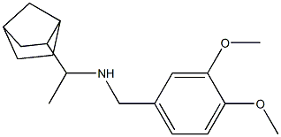 (1-{bicyclo[2.2.1]heptan-2-yl}ethyl)[(3,4-dimethoxyphenyl)methyl]amine Struktur