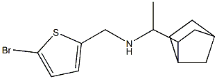 (1-{bicyclo[2.2.1]heptan-2-yl}ethyl)[(5-bromothiophen-2-yl)methyl]amine Struktur