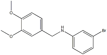 (3-bromophenyl)(3,4-dimethoxyphenyl)methylamine Struktur