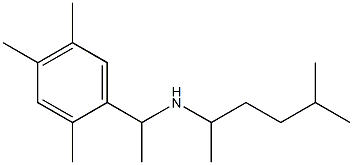 (5-methylhexan-2-yl)[1-(2,4,5-trimethylphenyl)ethyl]amine Struktur