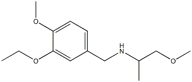 [(3-ethoxy-4-methoxyphenyl)methyl](1-methoxypropan-2-yl)amine Struktur