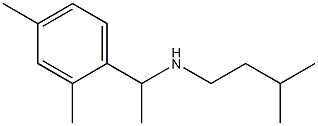 [1-(2,4-dimethylphenyl)ethyl](3-methylbutyl)amine Struktur