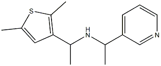 [1-(2,5-dimethylthiophen-3-yl)ethyl][1-(pyridin-3-yl)ethyl]amine Struktur