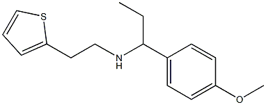 [1-(4-methoxyphenyl)propyl][2-(thiophen-2-yl)ethyl]amine Struktur