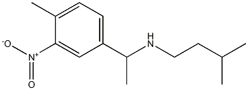 [1-(4-methyl-3-nitrophenyl)ethyl](3-methylbutyl)amine Struktur