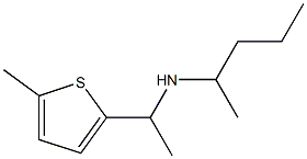 [1-(5-methylthiophen-2-yl)ethyl](pentan-2-yl)amine Struktur