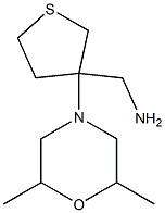 [3-(2,6-dimethylmorpholin-4-yl)tetrahydrothien-3-yl]methylamine Struktur