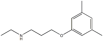 [3-(3,5-dimethylphenoxy)propyl](ethyl)amine Struktur