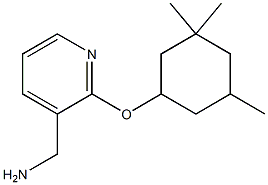 {2-[(3,3,5-trimethylcyclohexyl)oxy]pyridin-3-yl}methanamine Struktur