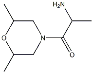 1-(2,6-dimethylmorpholin-4-yl)-1-oxopropan-2-amine Struktur