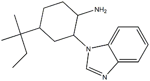 2-(1H-1,3-benzodiazol-1-yl)-4-(2-methylbutan-2-yl)cyclohexan-1-amine Struktur