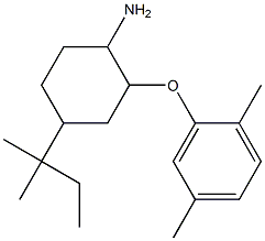 2-(2,5-dimethylphenoxy)-4-(2-methylbutan-2-yl)cyclohexan-1-amine Struktur