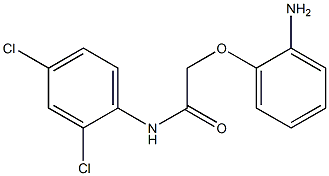 2-(2-aminophenoxy)-N-(2,4-dichlorophenyl)acetamide Struktur