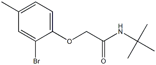 2-(2-bromo-4-methylphenoxy)-N-tert-butylacetamide Struktur