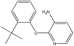 2-(2-tert-butylphenoxy)pyridin-3-amine Struktur