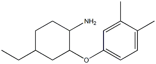 2-(3,4-dimethylphenoxy)-4-ethylcyclohexan-1-amine Struktur