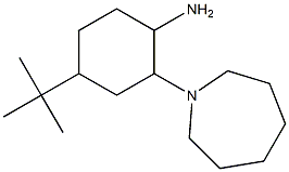 2-(azepan-1-yl)-4-tert-butylcyclohexan-1-amine Struktur