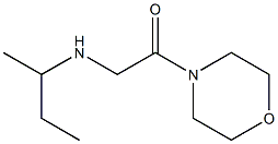 2-(butan-2-ylamino)-1-(morpholin-4-yl)ethan-1-one Struktur