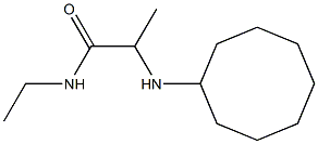 2-(cyclooctylamino)-N-ethylpropanamide Struktur