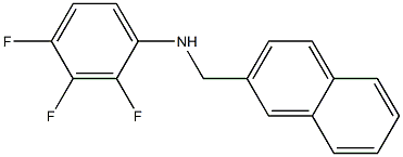 2,3,4-trifluoro-N-(naphthalen-2-ylmethyl)aniline Struktur