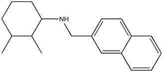 2,3-dimethyl-N-(naphthalen-2-ylmethyl)cyclohexan-1-amine Struktur