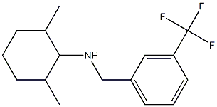 2,6-dimethyl-N-{[3-(trifluoromethyl)phenyl]methyl}cyclohexan-1-amine Struktur