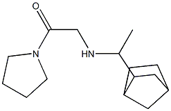 2-[(1-{bicyclo[2.2.1]heptan-2-yl}ethyl)amino]-1-(pyrrolidin-1-yl)ethan-1-one Struktur