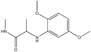 2-[(2,5-dimethoxyphenyl)amino]-N-methylpropanamide Struktur