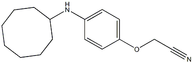 2-[4-(cyclooctylamino)phenoxy]acetonitrile Struktur