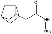 2-{bicyclo[2.2.1]heptan-2-yl}acetohydrazide Struktur