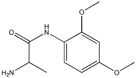 2-amino-N-(2,4-dimethoxyphenyl)propanamide Struktur