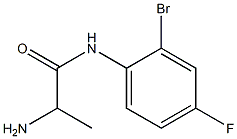 2-amino-N-(2-bromo-4-fluorophenyl)propanamide Struktur