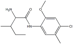 2-amino-N-(4-chloro-2-methoxy-5-methylphenyl)-3-methylpentanamide Struktur