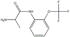 2-amino-N-[2-(trifluoromethoxy)phenyl]propanamide Struktur