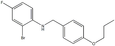 2-bromo-4-fluoro-N-[(4-propoxyphenyl)methyl]aniline Struktur