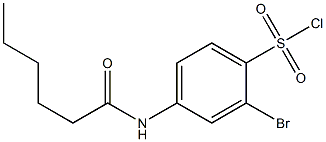 2-bromo-4-hexanamidobenzene-1-sulfonyl chloride Struktur