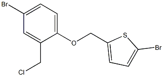 2-bromo-5-[4-bromo-2-(chloromethyl)phenoxymethyl]thiophene Struktur