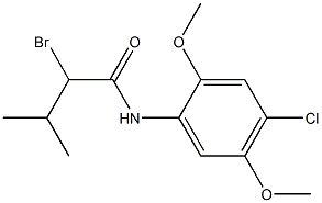 2-bromo-N-(4-chloro-2,5-dimethoxyphenyl)-3-methylbutanamide Struktur