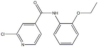 2-chloro-N-(2-ethoxyphenyl)pyridine-4-carboxamide Struktur