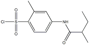 2-methyl-4-(2-methylbutanamido)benzene-1-sulfonyl chloride Struktur