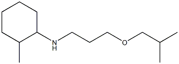 2-methyl-N-[3-(2-methylpropoxy)propyl]cyclohexan-1-amine Struktur