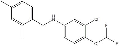 3-chloro-4-(difluoromethoxy)-N-[(2,4-dimethylphenyl)methyl]aniline Struktur